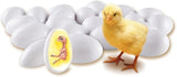 LEARNING TOY-CHICK LIFE CYCLE LEARNING RESOURCES 999/