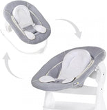 Hauck Alpha 2in1 Ergonomic Baby Bouncer
