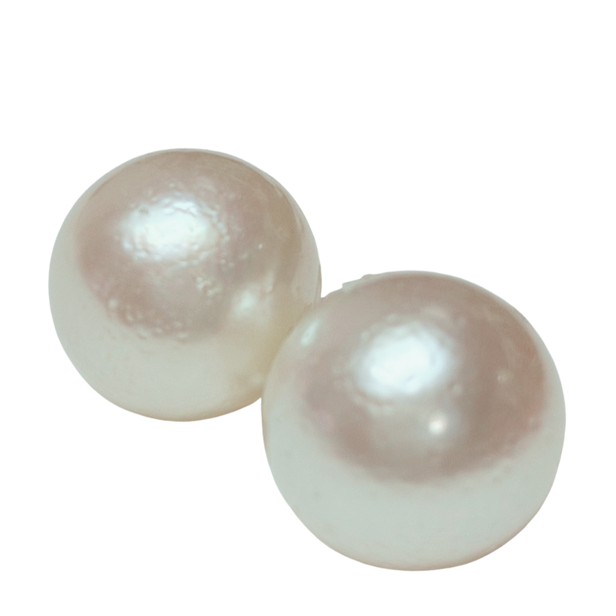 PT900 White South Sea Pearl Earrings 12to12.7MM 2.7G Main image