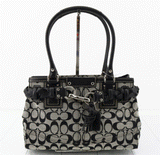 Coach Signature Canvas/Leather Tote Bag F13065