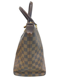 Louis Vuitton Damier Saleya MM Tote Bag
