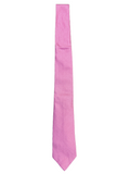 Ferragamo Silk Necktie