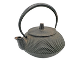 Nambu Ironware Iwachu Cast Iron Kettle