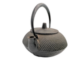 Nambu Ironware Iwachu Cast Iron Kettle