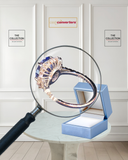 Diamond Sapphire Ring 5.76K 6.2 Gram