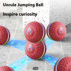 Smart Dog Toy - C72-11P060