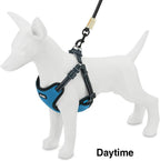 Voyager StepIn Flex Dog Harness Medium Dogs Turquoise
