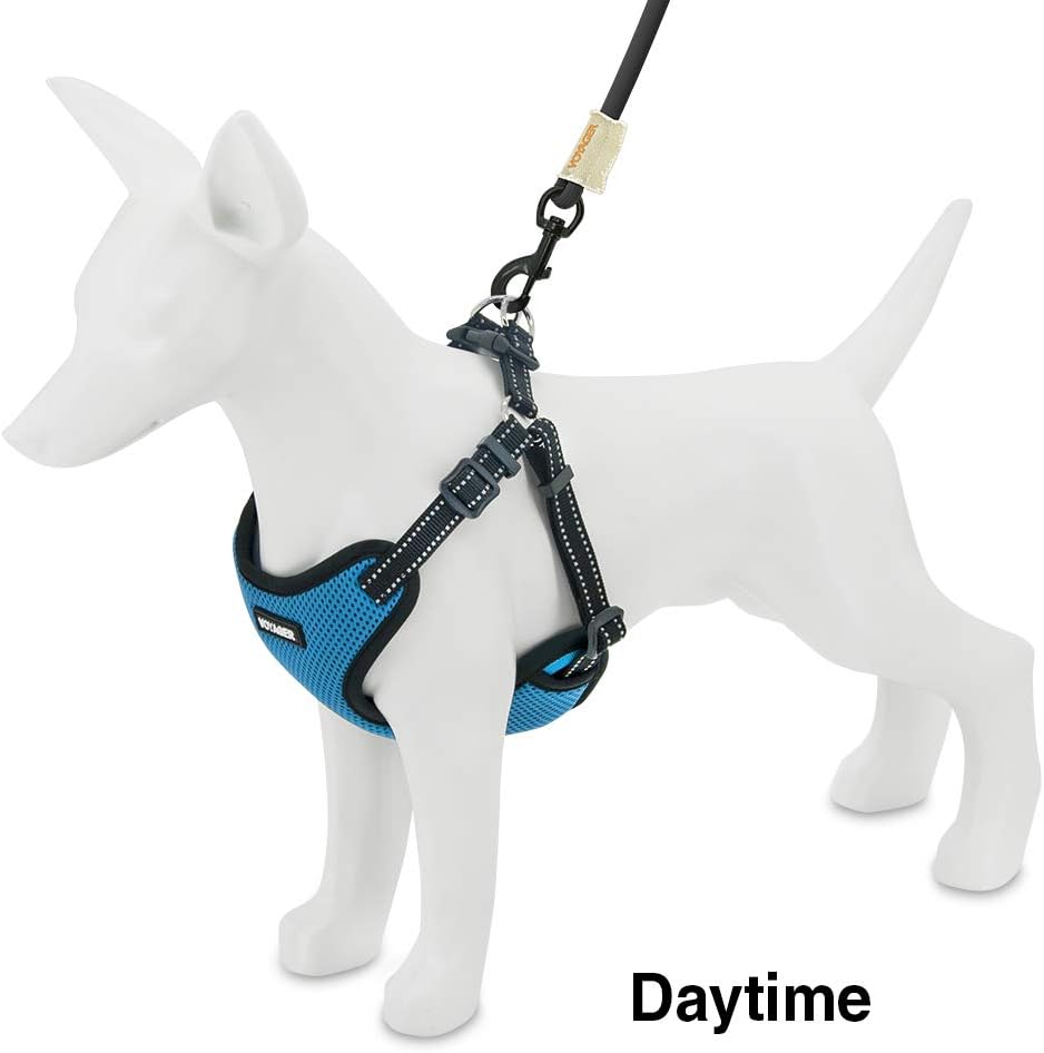 Voyager StepIn Flex Dog Harness Medium Dogs Turquoise