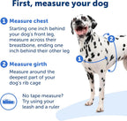 PetSafe Easy Walk Harness PetiteSmall BlackSilver For Dogs