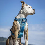 Kurgo TruFit Smart Harness Dog Harness Blue Large