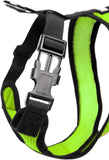 Gooby Comfort X Head In Harness Green Large For Small Dogs