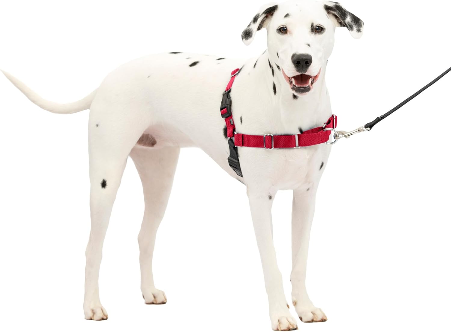 PetSafe Easy Walk NoPull Dog Harness MediumLarge RedBlack Main image