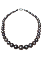 Black South Sea Pearl Necklace 7.4to11.9mm 49cm