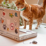 Suck UK Cat Scratch Laptop With Fluffy Mouse Interactive Cat Toys