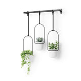 Umbra Triflora Hanging Planter for Window, Indoor Herb Garden, White,Triple