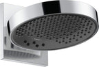 Hansgrohe  23235671 Showerhead-3 Spray Stainless Steel