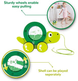 Hape Tito Pull Along Wooden Turtle with Swirling Shell Pull Toddler Toy Green