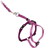 PetSafe Come With Me Kitty Harness And Bungee Leash For Cats Medium Dusty RoseBurgundy