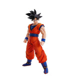 Bandai, TAMASHII NATIONS Son Goku Dragon Ball Z