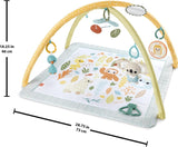 FisherPrice Baby Playmat Simply Senses Newborn Gym With Mobile And Sensory Activity Toys