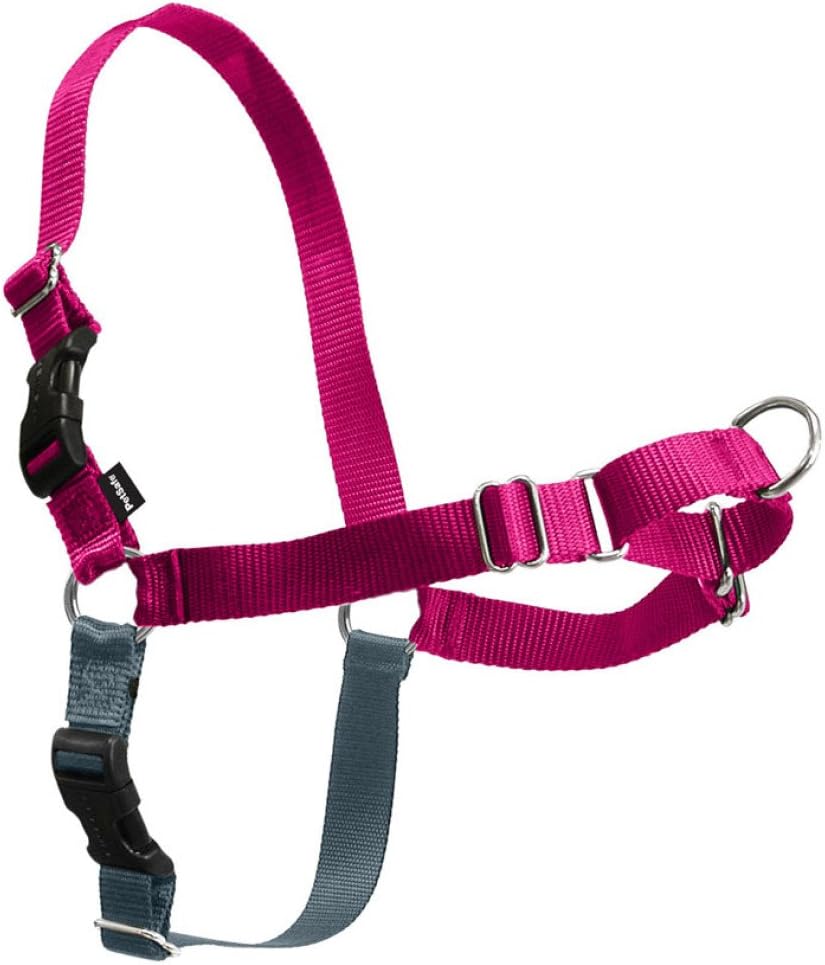 PetSafe Easy Walk NoPull Dog Harness MediumLarge RaspberryGray Main image
