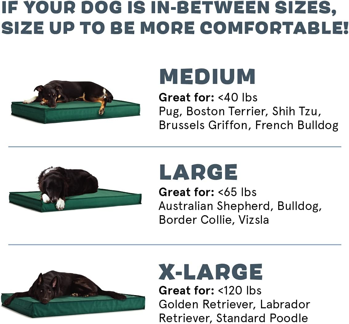 BarkBox Orthopedic Comfort Outdoor Dog Bed Medium Green Secondary image