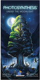 Photosynthesis Under The Moonlight - Expansion to Photosynthesis Original Game- Family or Adult Strategy Board Game for 2 to 4 Players. Recommended for Ages 10 and Up.