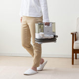 IRIS OHYAMA RNS-P10 Carpet/Mattress/Sofa Cleaner