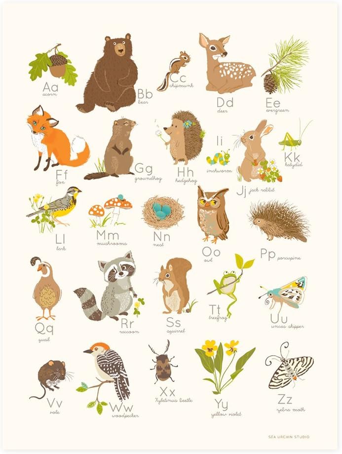 Sea Urchin Studio Alphabet Poster Woodland Forest 12" x 16" Main image