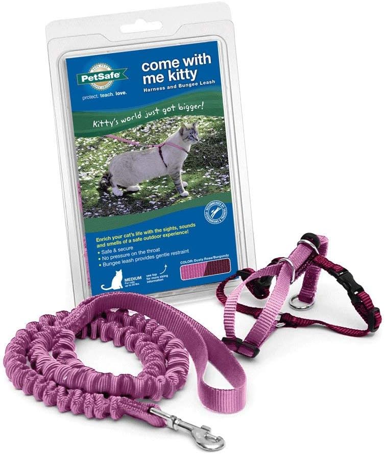 PetSafe Come With Me Kitty Harness And Bungee Leash For Cats Medium Dusty RoseBurgundy Main image