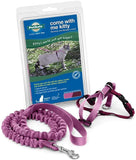 PetSafe Come With Me Kitty Harness And Bungee Leash For Cats Medium Dusty RoseBurgundy