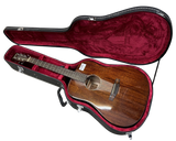 Carpe Diem Acoustic Guitar CM-DM1 With Hard Case