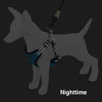 Voyager StepIn Flex Dog Harness Medium Dogs Turquoise