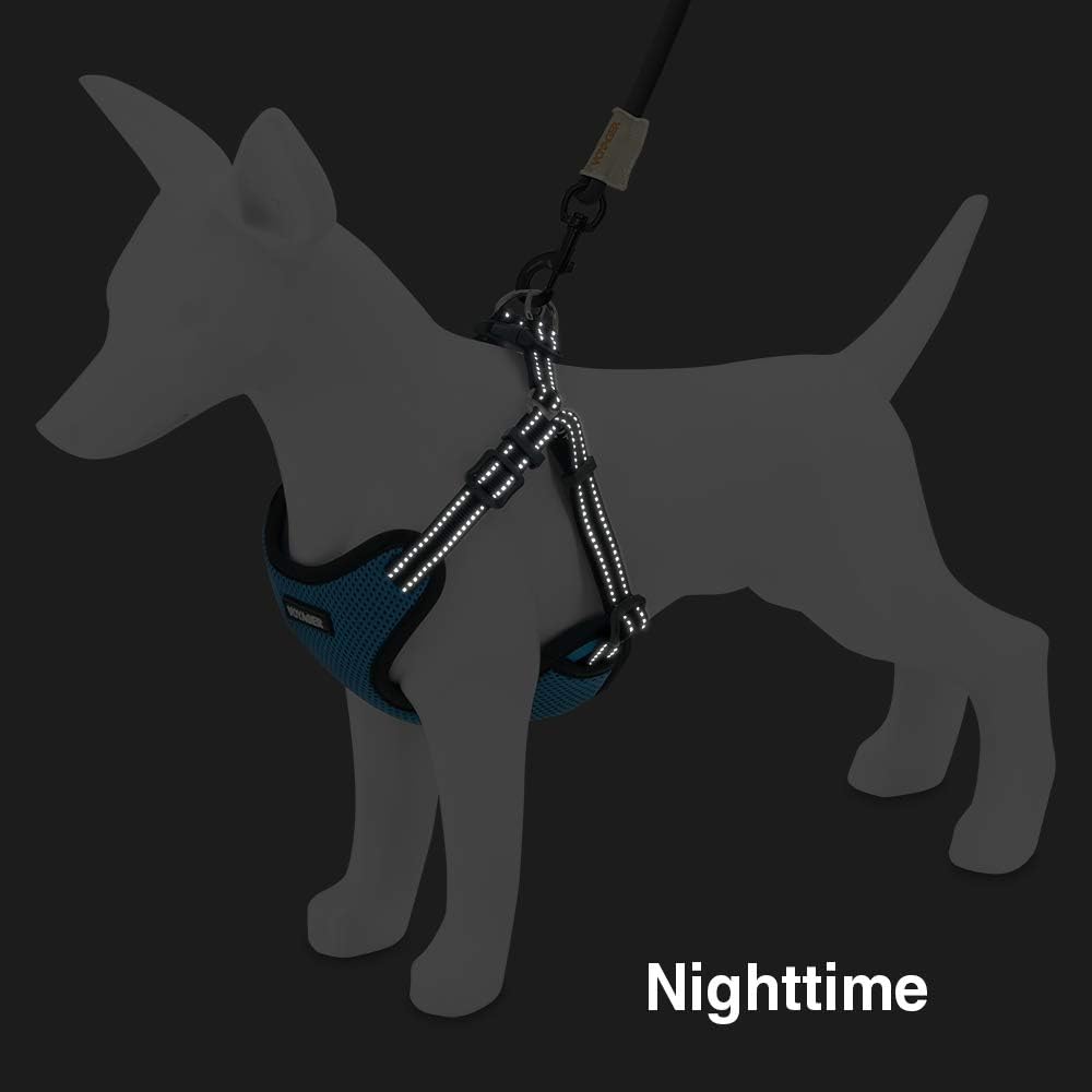 Voyager StepIn Flex Dog Harness Medium Dogs Turquoise
