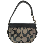 Coach Zoe Hobo Shoulder Bag