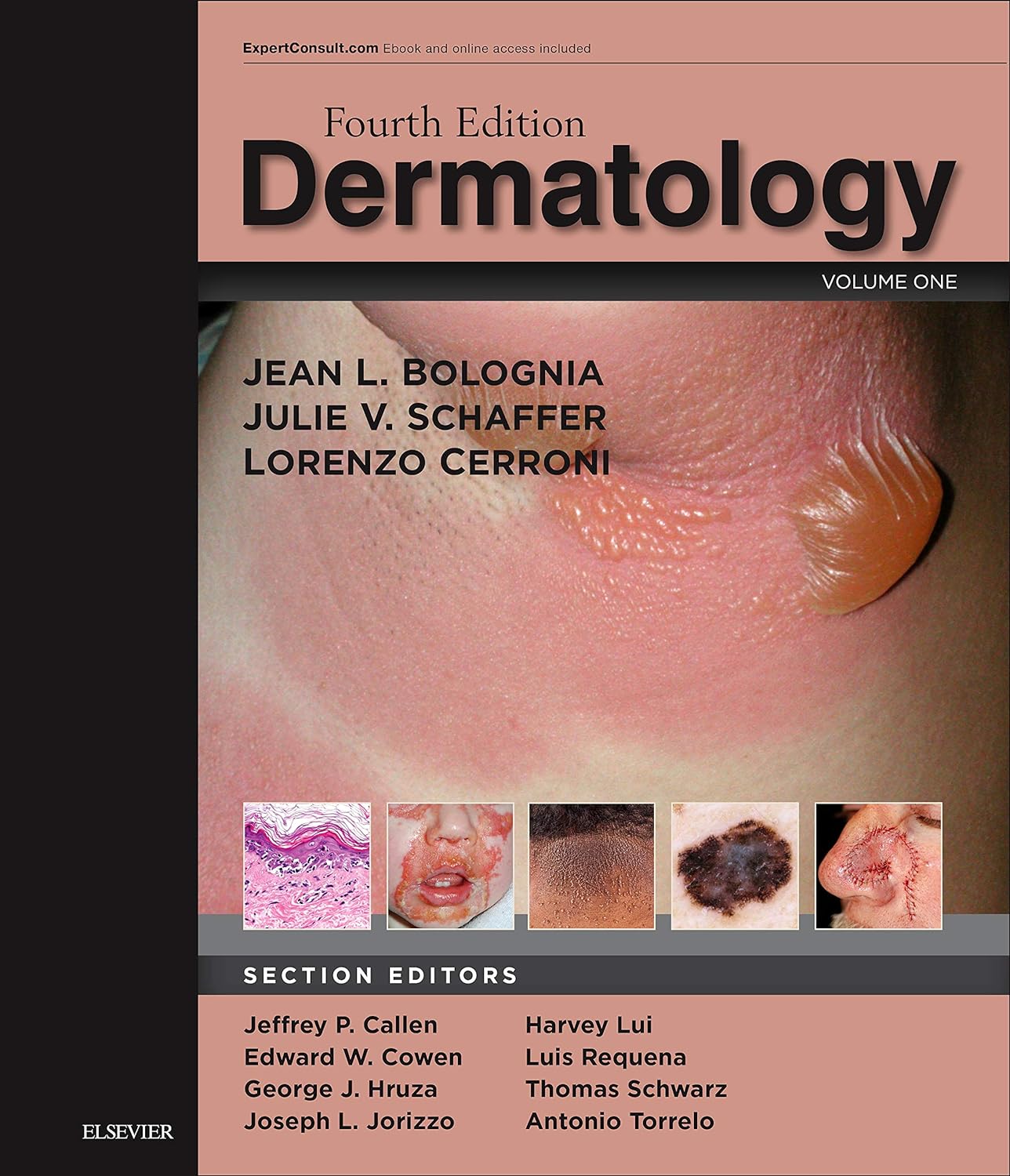 Jean L Bolognia MD Dermatology Fourth Edition Hardcover Main image
