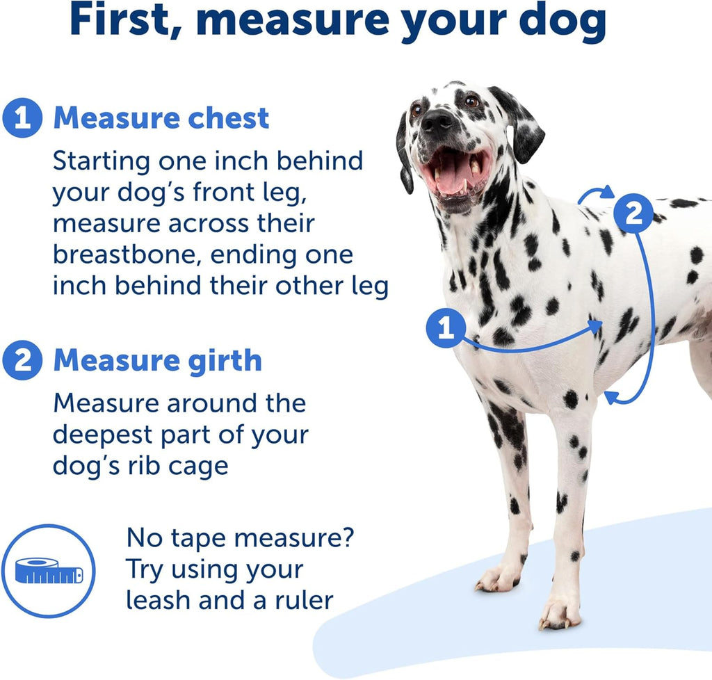 PetSafe Easy Walk Deluxe Dog Harness Small OceanBlack