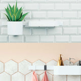 hansgrohe 27902700  WallStoris 20-inch Modern Wall Bar in Matte White