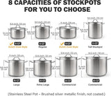 Cooks Standard Stockpots Stainless Steel, 20 Quart Professional Grade Stock Pot with Lid, Silver