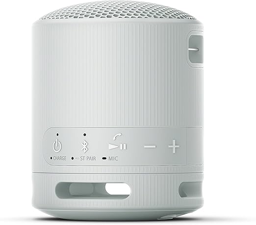 Sony XB100 Portable Wireless Speaker