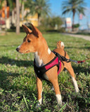 Gooby Escape Free Easy Fit Harness Red Medium