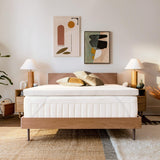 TempurPedic TEMPUR Supreme 3inch Mattress Topper Medium Firm  California King White