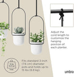 Umbra Triflora Hanging Planter for Window, Indoor Herb Garden, White,Triple