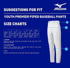 Mizuno Youth Premier Piped Pant GrayBlack Small