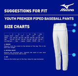 Mizuno Youth Premier Piped Pant GrayBlack Small