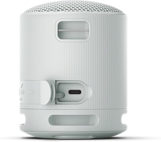 Sony XB100 Portable Wireless Speaker