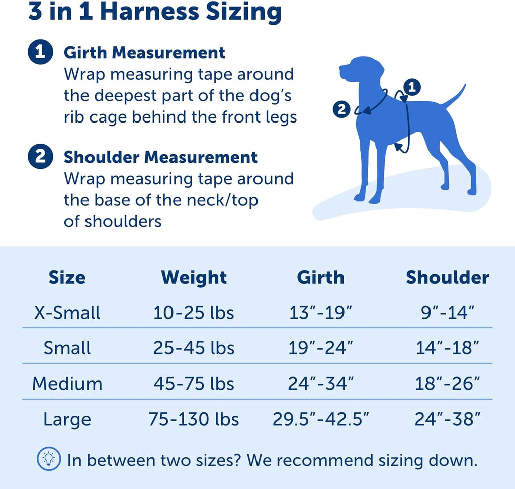 PetSafe 3 in 1 Dog Harness XSmall Teal