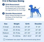 PetSafe 3in1 Dog Harness No Pull Solution For Dogs Plum Medium