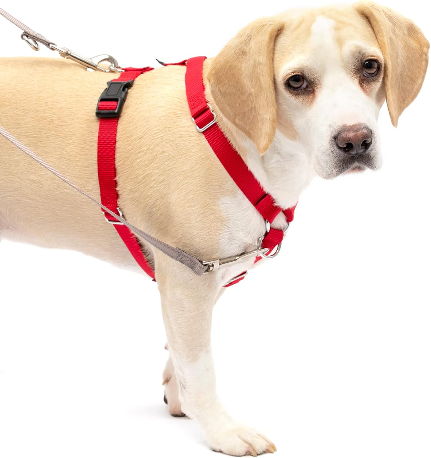 PetSafe SureFit Harness Medium Red Main image
