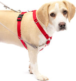 PetSafe SureFit Harness Medium Red